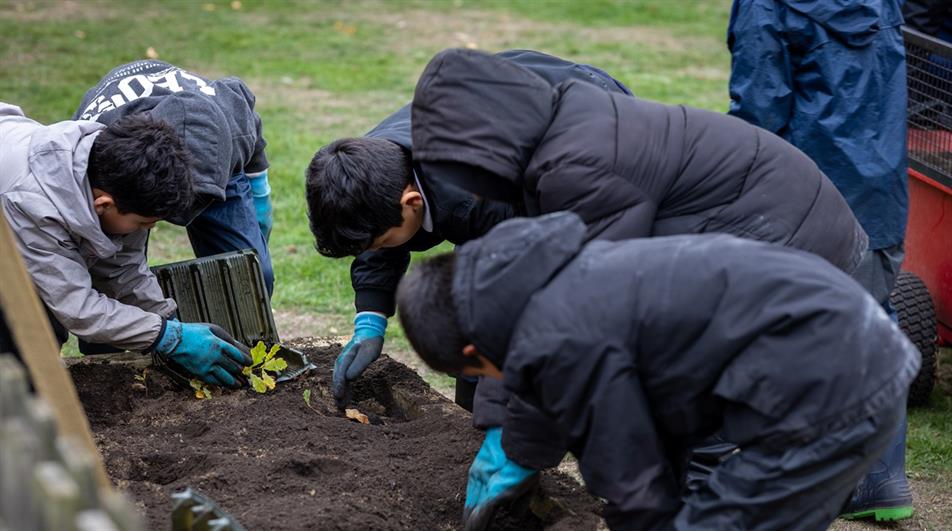 Community Tree Nurseries